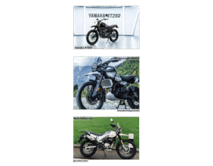 XT250 vs Himalayan vs Xpulse 200